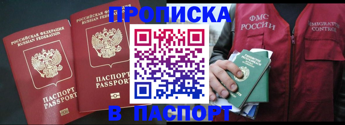 прописка 2025 в Павловске